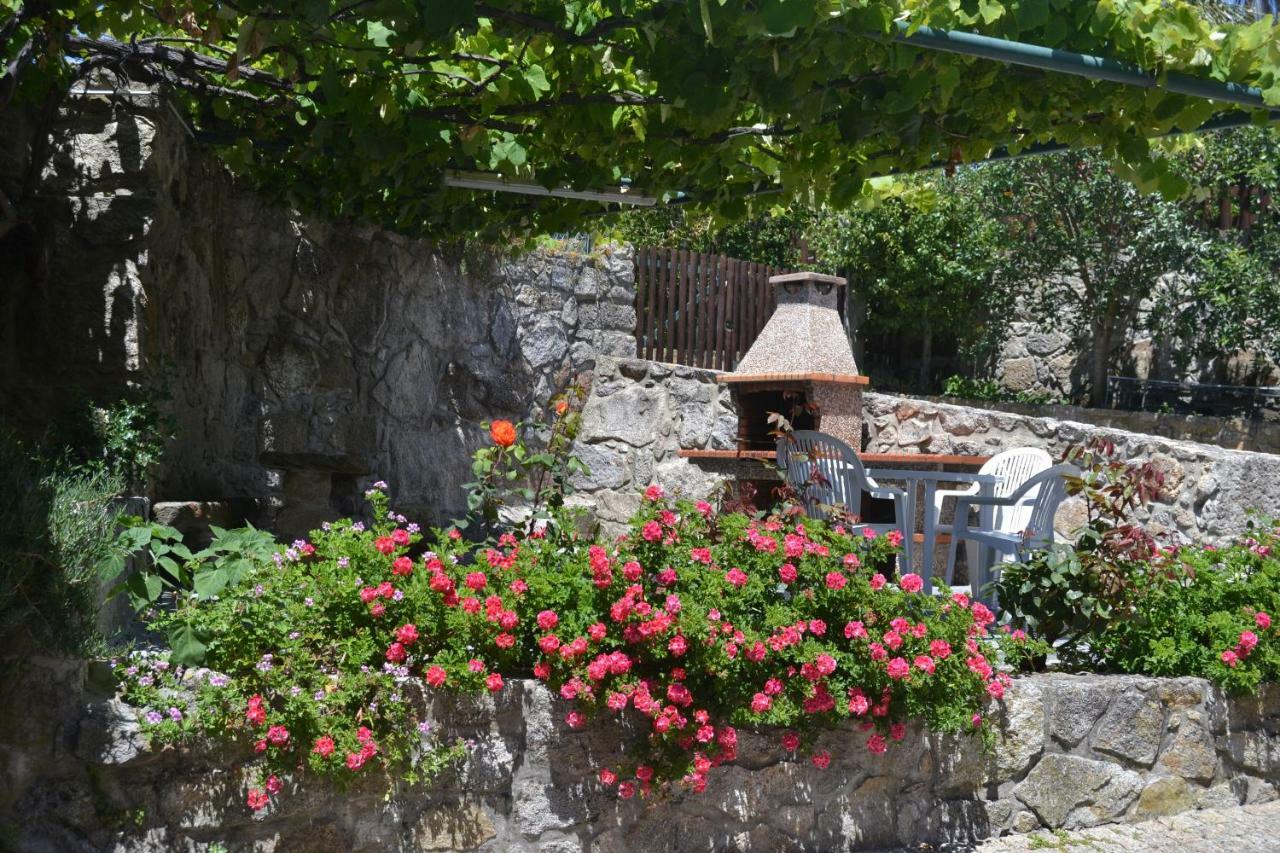 Quinta Do Real - Casa De Campo Viana do Castelo Kültér fotó